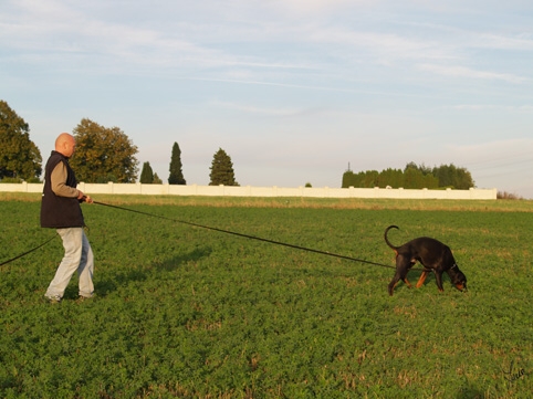 Cliff vom Beuchower Hof - training 10/2006